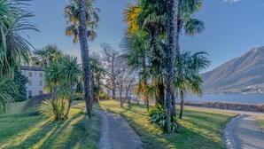 A gravel path leading through a lush garden with palm trees and a building in the background. - Domus Elena Lakeview (Bellagio)
