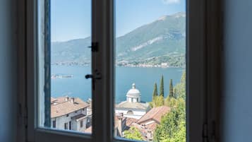 A window view of a lake with buildings and a mountain in the background.
