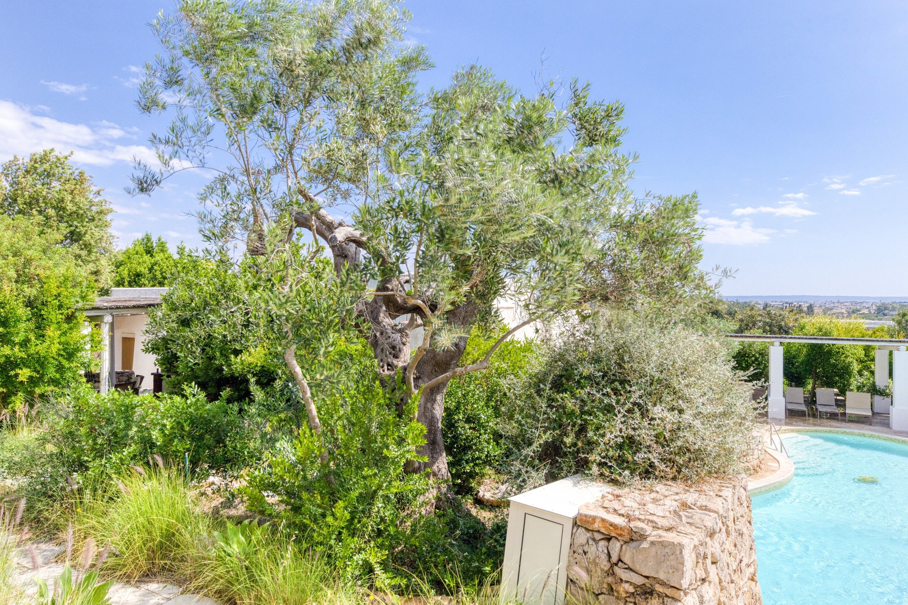 A pool surrounded by lush greenery and a stone wall, with a view of distant buildings.