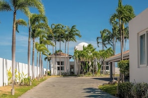 A pathway lined with palm trees leading to a building with a dome roof.