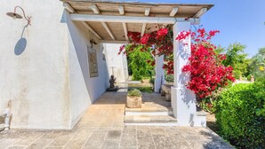 Un espacio al aire libre techado con una pérgola, escalones de piedra y un pequeño jardín con flores rojas.