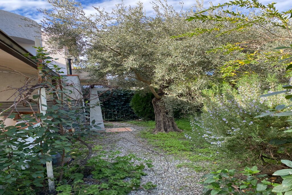 Ein Gartenweg führt zu einem Haus mit einem großen Baum und verschiedenen Pflanzen.