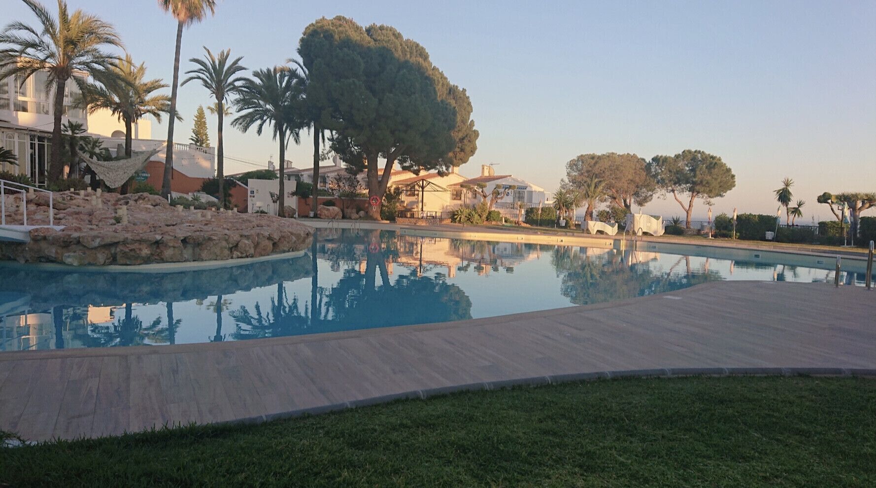 Una piscina con plataforma de madera, rodeada de palmeras y un árbol grande.