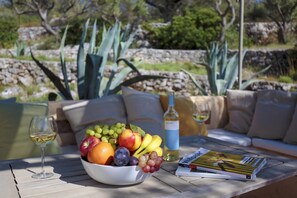 Property grounds - Bright Beachfront Villa with Direct Access near Vathy and Taverna (Ithaca)