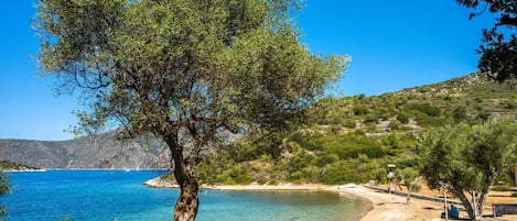 ビーチの近く、サンラウンジャー