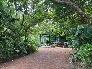 Outdoor dining - Jungle Hut - RARE absolute beachfront! (Dundee Beach)