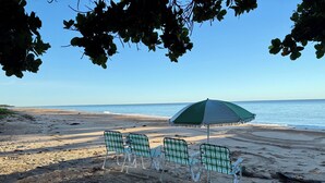 Ein Strand mit vier grün-weißen Liegestühlen und einem grünen, weißen Sonnenschirm unter einem Baum.
