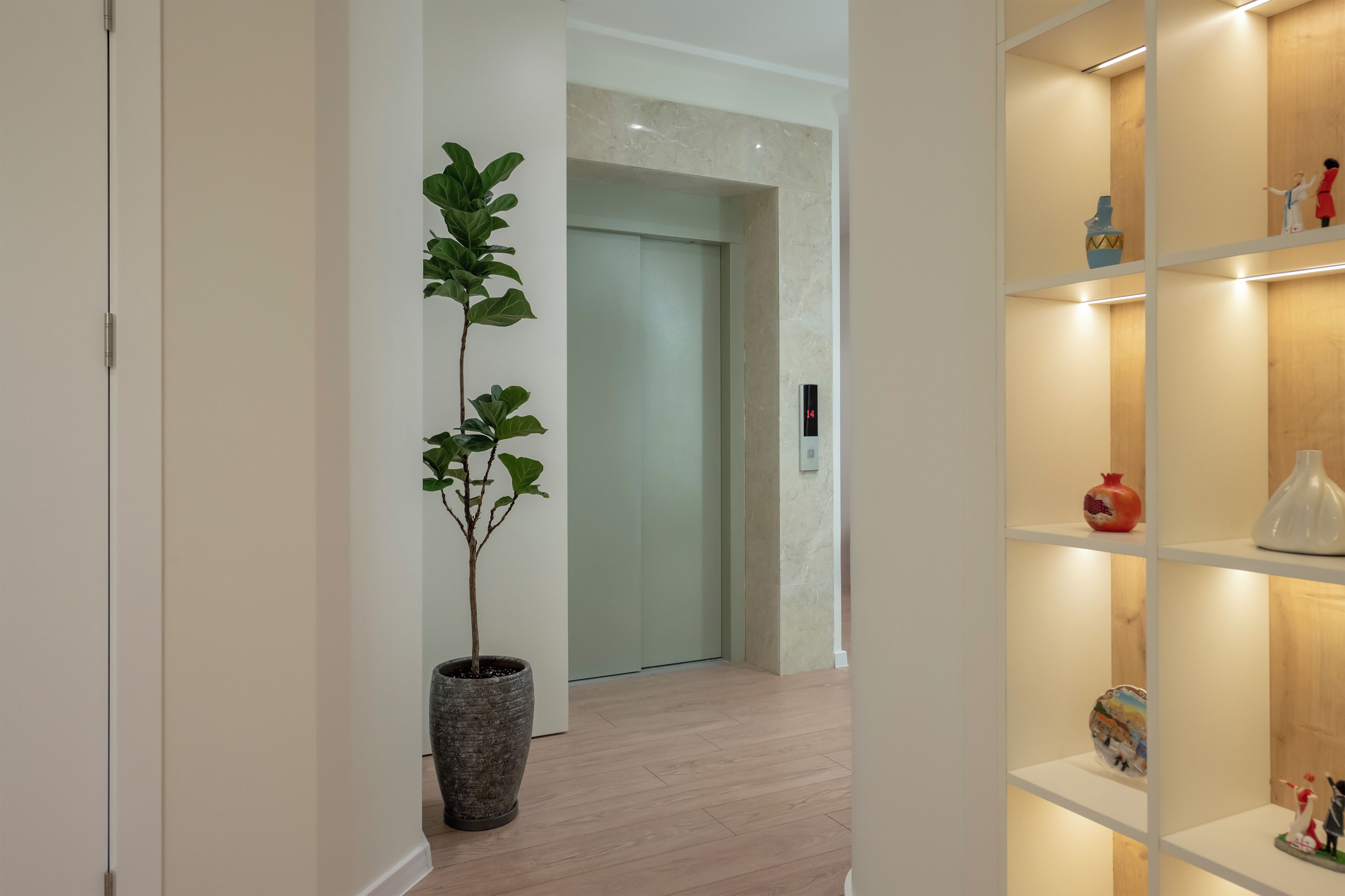 A hallway with a potted plant, a wooden floor, and a shelf with decorative items.
