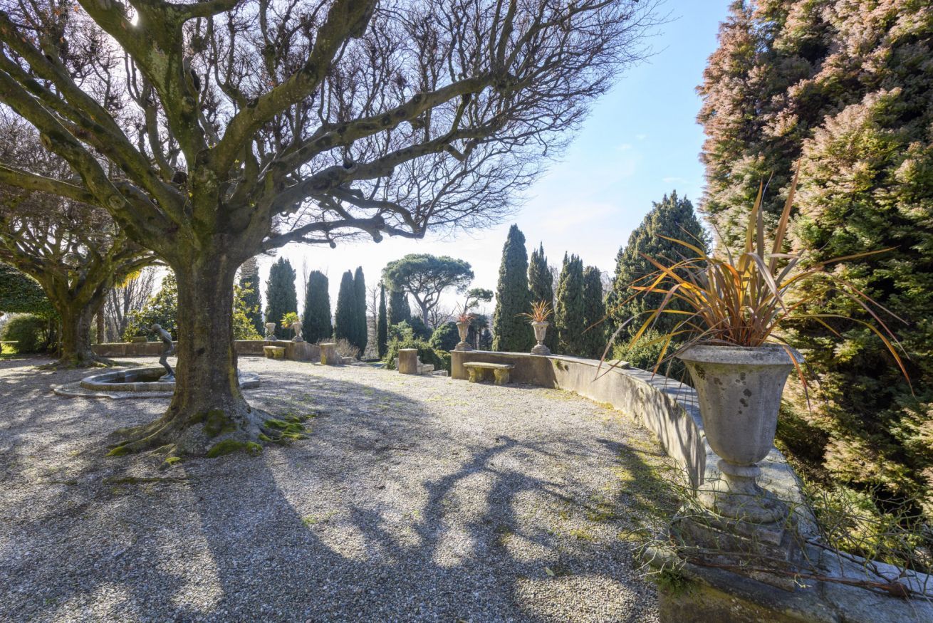 A garden with a large tree, stone benches, and neatly trimmed hedges.