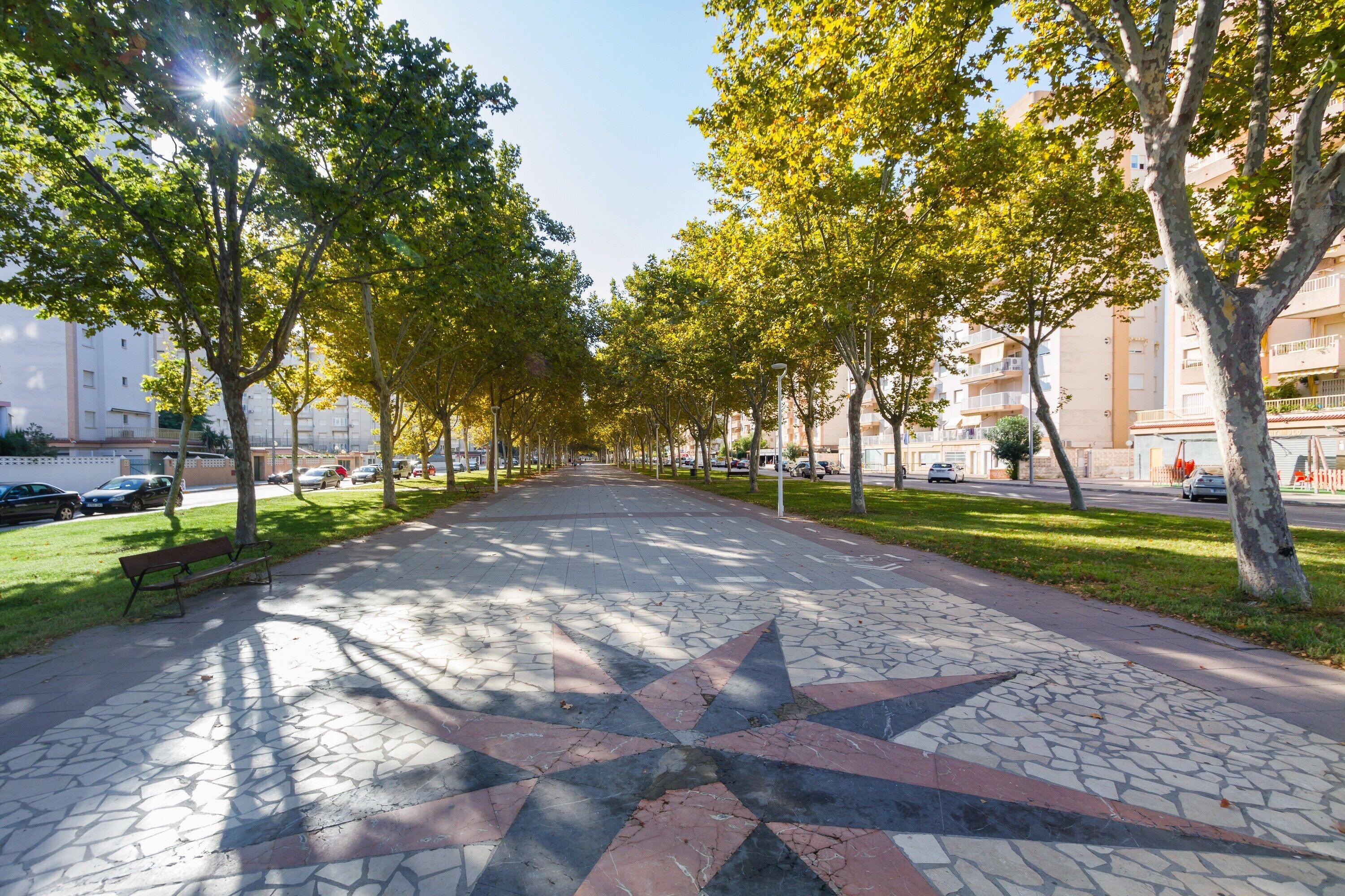 Un vialetto lastricato con un motivo a stella, fiancheggiato da alberi e panchine, conduce a un edificio con balconi.