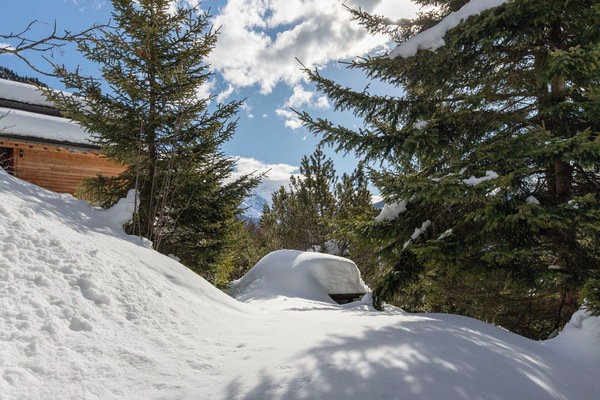 Montagne, Montagnes Relief, Arbre, Chaîne De Montagnes, Colline, Neige, Montagnes, Station De Montagne, Forêt, Paysage