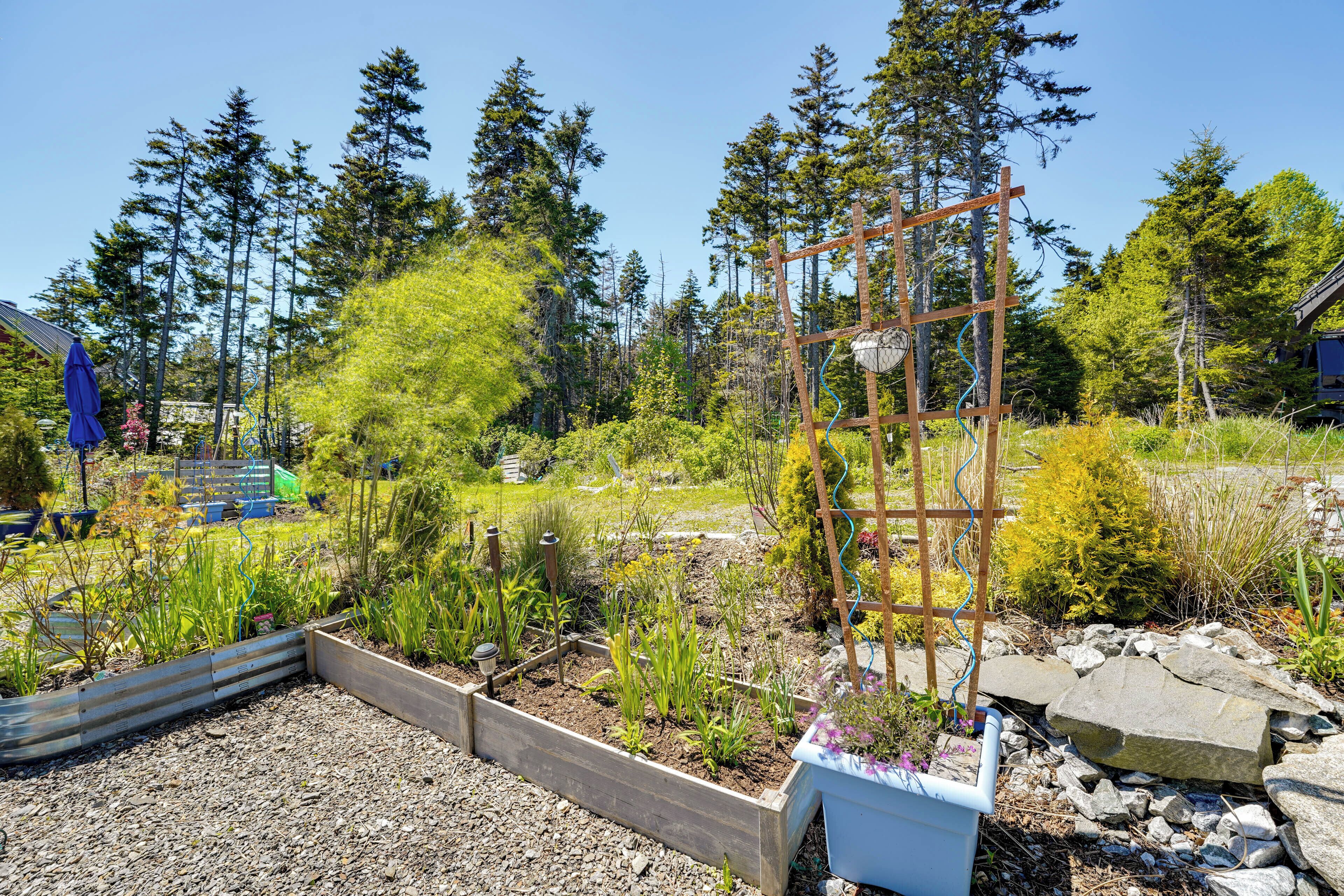 A garden with raised beds, a wooden trellis, and a variety of plants.
