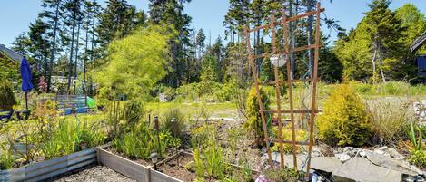 A garden with raised beds, a wooden trellis, and a variety of plants.