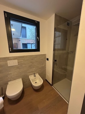 Shower, hair dryer, bidet, towels