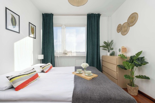 A bedroom features a queen-sized bed with white linens and a gray throw, a small nightstand with a lamp, and a green plant. A large window provides a view outside.