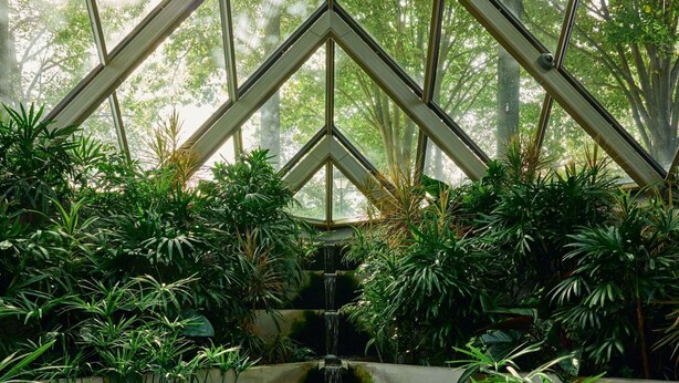 A conservatory with a central water feature surrounded by lush greenery.