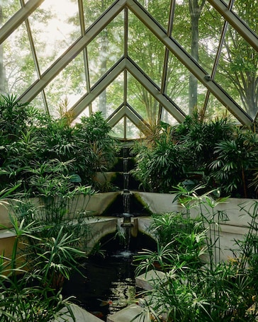 A conservatory with a central water feature surrounded by lush greenery.