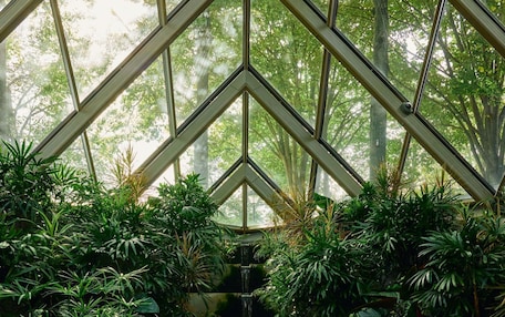 A conservatory with a central water feature surrounded by lush greenery.