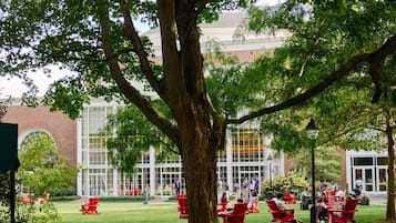 Terrein van de accommodatie