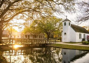 Uklassifisert bilde, 5 av 25, knapp