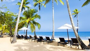 Una playa con palmeras, sillas de playa y sombrillas.