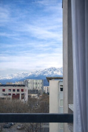 A view from a window overlooking a cityscape with snow-capped mountains in the background. - Cosy, quiet studio near Grenoble center (Grenoble)