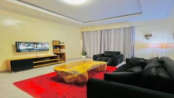 TV