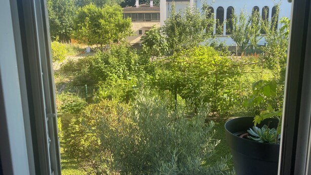 A view from a window overlooking a garden with various plants and a building with a tiled roof. - Apartment in a quiet street (Schiltigheim)