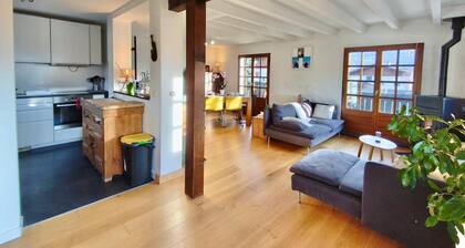 Chalet familial avec jardin et vue Mont-Blanc