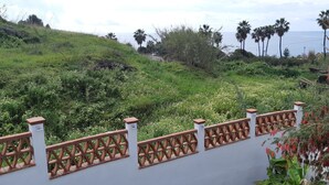 Üppige grüne Landschaft mit einer weißen Mauer und einem Zierzaun.