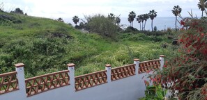 A lush green landscape with a white wall and a decorative fence. - Casa Margaretha in Tamango Hill Nerja/Torrox (Torrox)