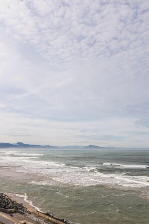 On the beach - SWELL - Apartment first line sea view, terrace with ocean view, parking (Biarritz)