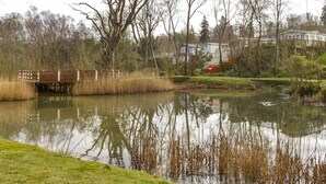 Un étang surmonté d’un pont en bois, entouré d’arbres, avec une zone résidentielle en arrière-plan.