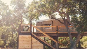 A treehouse with a wooden deck and a small enclosed area, surrounded by trees. - Yurt in the trees w TX stars & Pickleball (Dripping Springs)