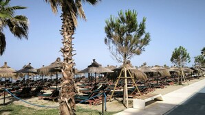 Um resort à beira-mar com fileiras de espreguiçadeiras e guarda-sóis de palha, palmeiras e um céu claro.
