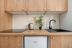Interior - Elegant Studio in Lodz | Pet Friendly (Łódź)