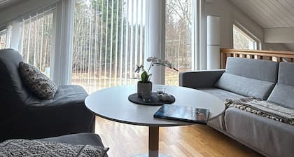 Modern vacation home on Bolmen - 150 m to the lake, fireplace, 2 terraces