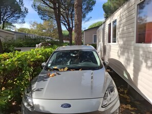 Nicht klassifiziertes Bild, 5 von 8, Schaltfläche