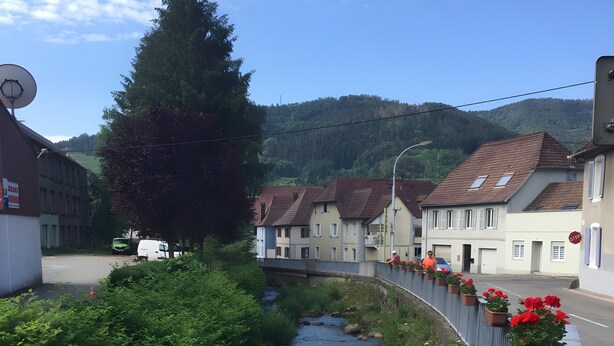 Une rue résidentielle bordée d’un ruisseau, de maisons et d’un panneau de signalisation indiquant un arrêt obligatoire.