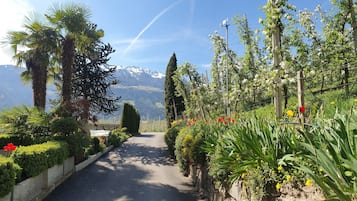 Áreas de la propiedad