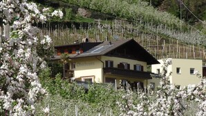 Un bâtiment à deux étages, doté d’un toit en pente et entouré d’arbres en fleurs.