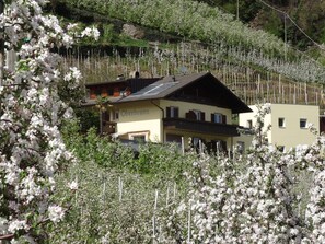 Exterior - Apartment 'Fewo Apfelblüte' with Mountain View, Shared Pool and Wi-Fi (Naturno)