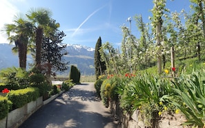 Overnatningsstedets område