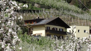 A two-story building with a sloped roof, surrounded by blooming trees. - Apartment 'Lichtnelke' with Mountain View, Shared Pool and Wi-Fi (Naturno)