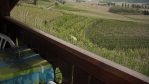 A balcony with a view of a vineyard and mountains. - Apartment 'Lichtnelke' with Mountain View, Shared Pool and Wi-Fi (Naturno)