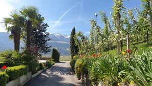 A paved pathway flanked by lush greenery and flowering plants, leading towards a mountainous backdrop. - Apartment 'Lichtnelke' with Mountain View, Shared Pool and Wi-Fi (Naturno)