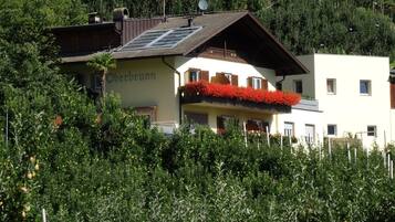 Esterni
