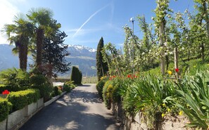 Área da propriedade