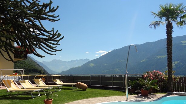 Ein Pool mit Blick auf die Berge, Liegestühle und eine Palme.