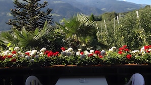Ein Tisch mit Stühlen, Blick auf Berge und ein Garten mit roten und weißen Blumen.
